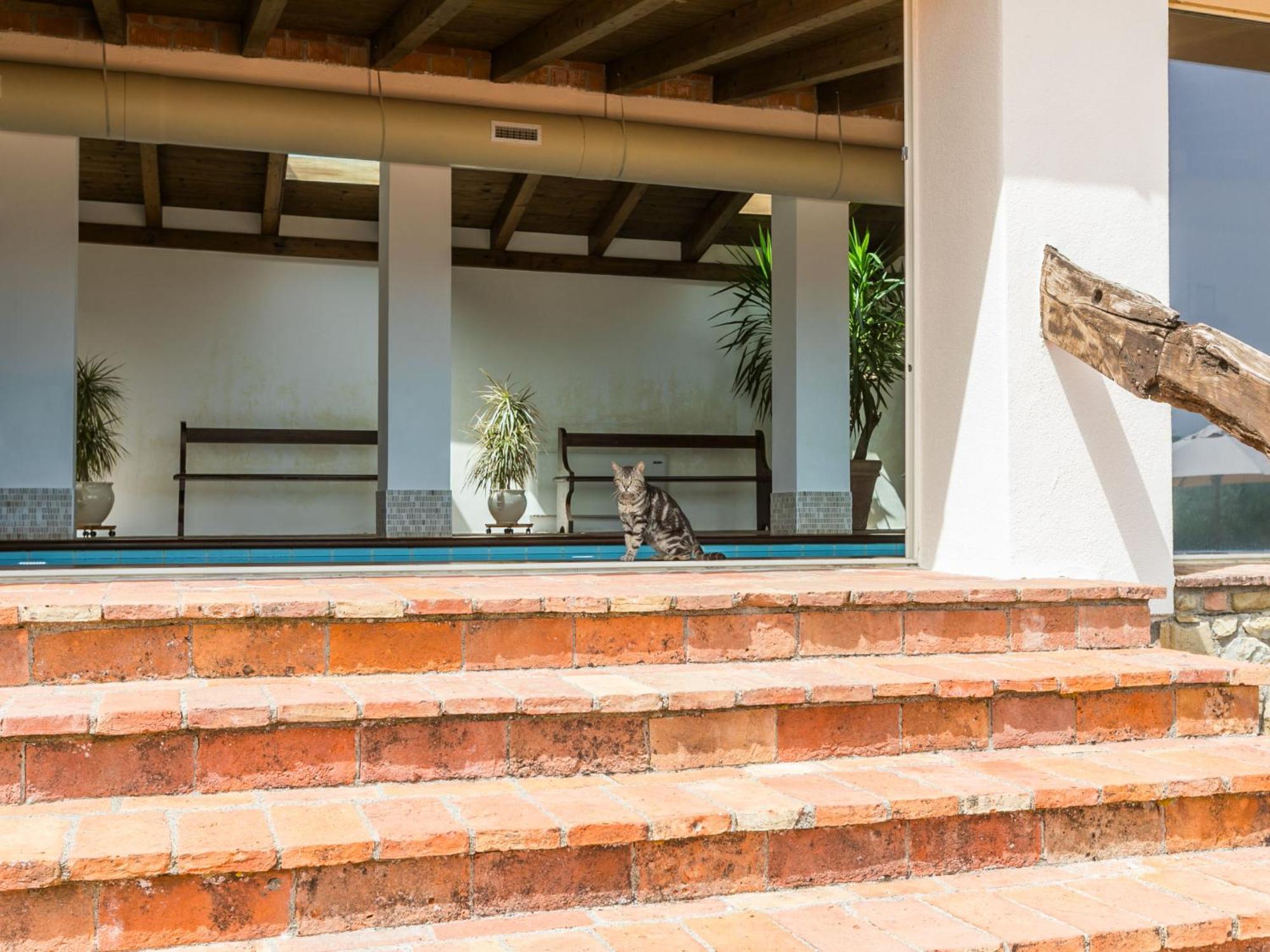 Holiday Home Ciliegiolo By Interhome Cinigiano Exterior foto